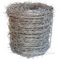 Barbed Wire Arm Galvanized